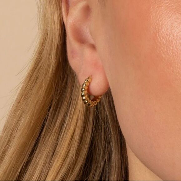 Adina Eden Graduated Twist Hoop Earrings - Picture 4 of 6